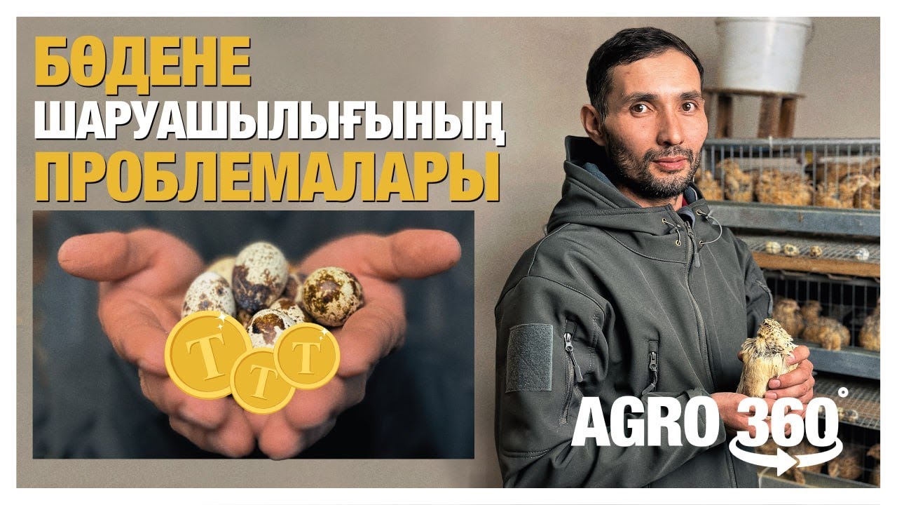 Бөдене кәсібі | Тиімді тұстары мен проблемалары