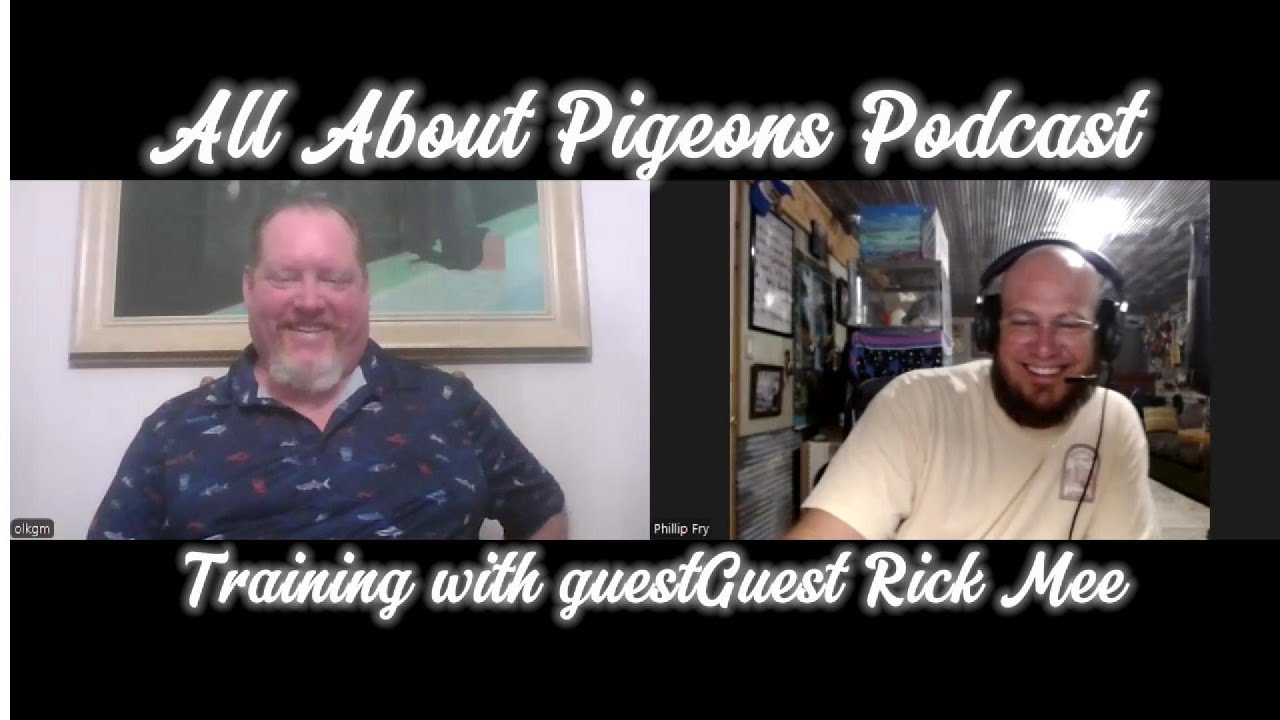 Training Competition Pigeons with Rick Mee