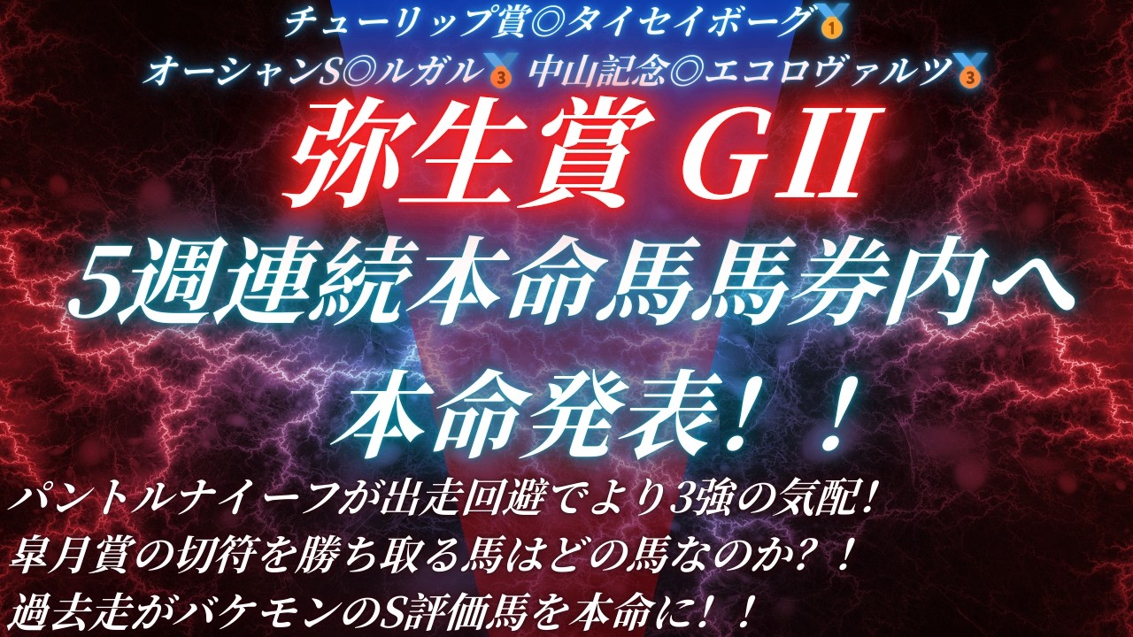 #弥生賞2026予想 たお競馬の本命発表🐎チューリップ賞◎タイセイボーグ🥇