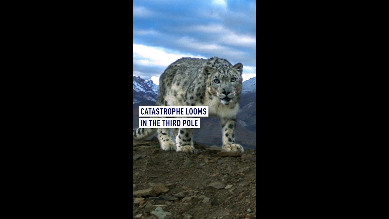 Catastrophe looms in the third pole