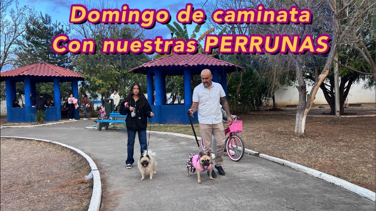 El sueño Mexicano Vlogs está en vivo