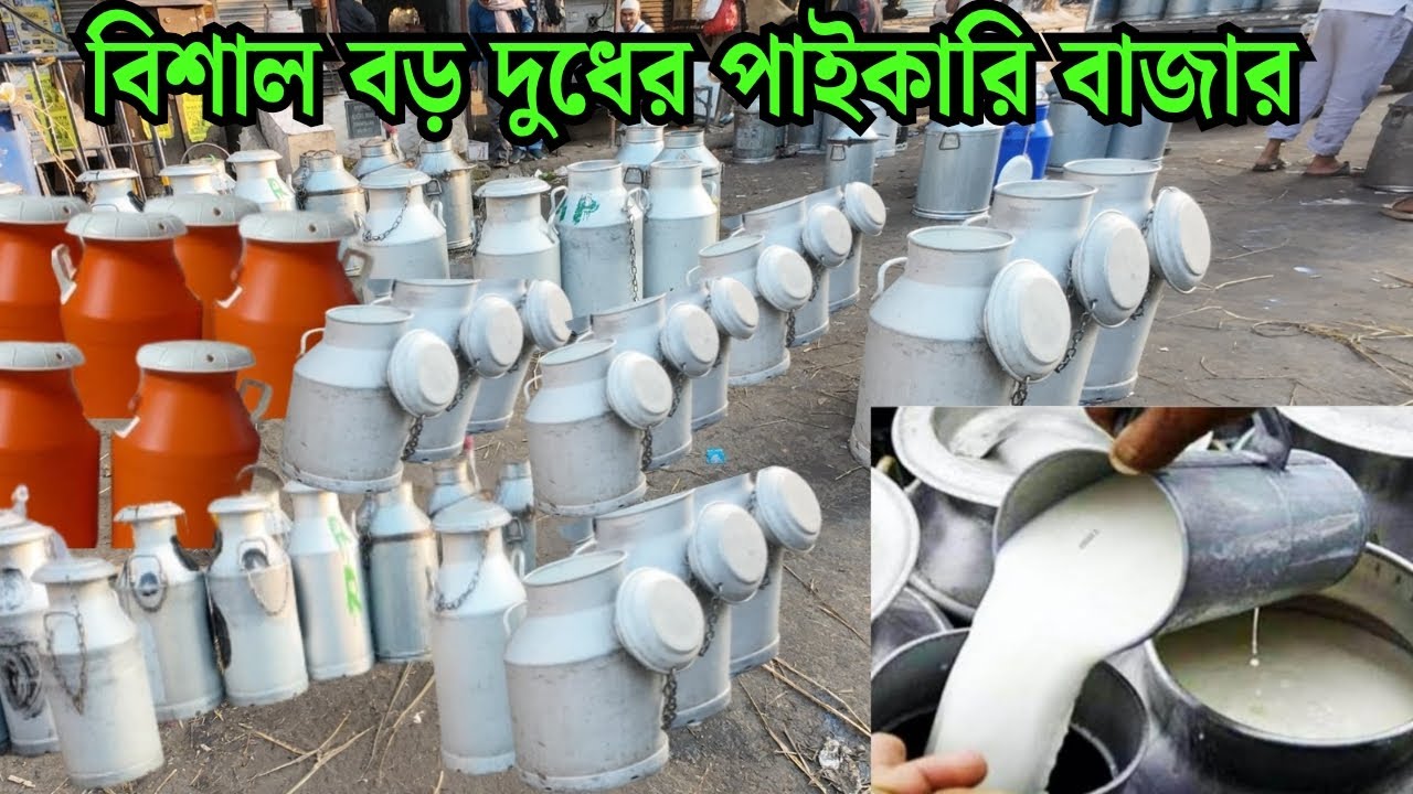 কলকাতায় ২০০ বছরেরও পুরনো দুধের এক বিশাল পাইকারি বাজার/Dairy Farming in West Bengal /Dairy Business