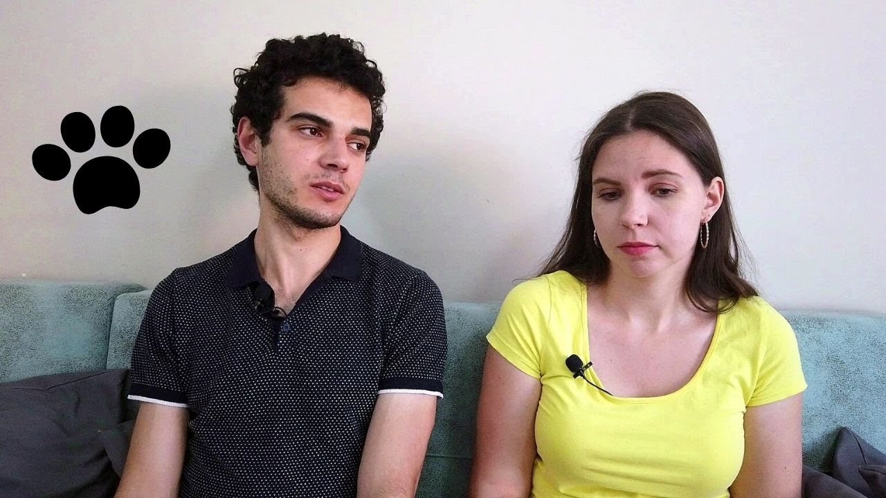 Problem psów w Turcji | Kawa po turecku
