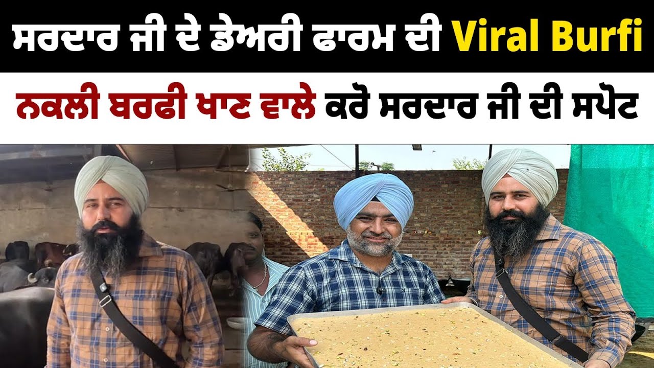 ਸਰਦਾਰ ਜੀ ਦੇ ਡੇਅਰੀ ਫਾਰਮ ਦੀ Viral Burfi | Viral Sardar Ji Originall Burfi Barnala | Pinda Vale Vlogger