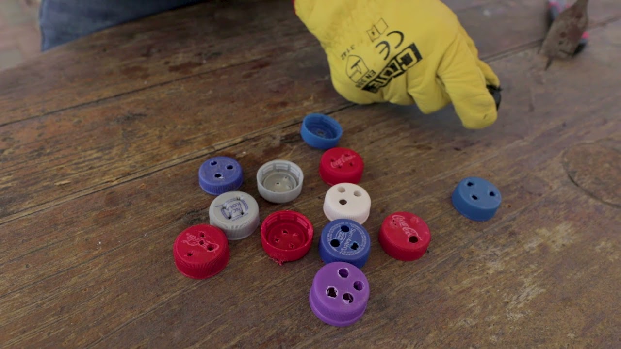 #SurcoCultiva 🤲🌱