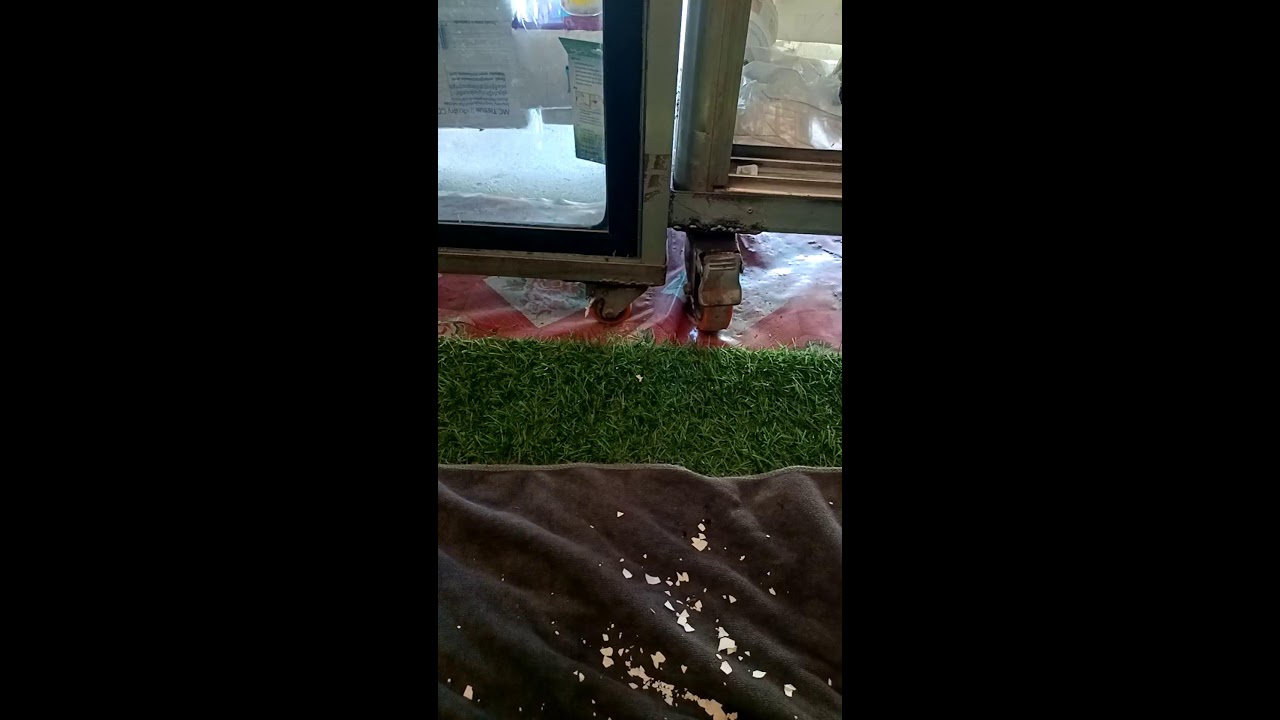 Egg breaking