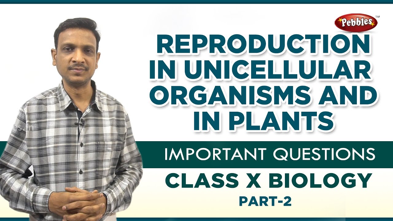 Reproduction in unicellular organisms PART-2|Important questions| class 10 Biology | AP&TS syllabus
