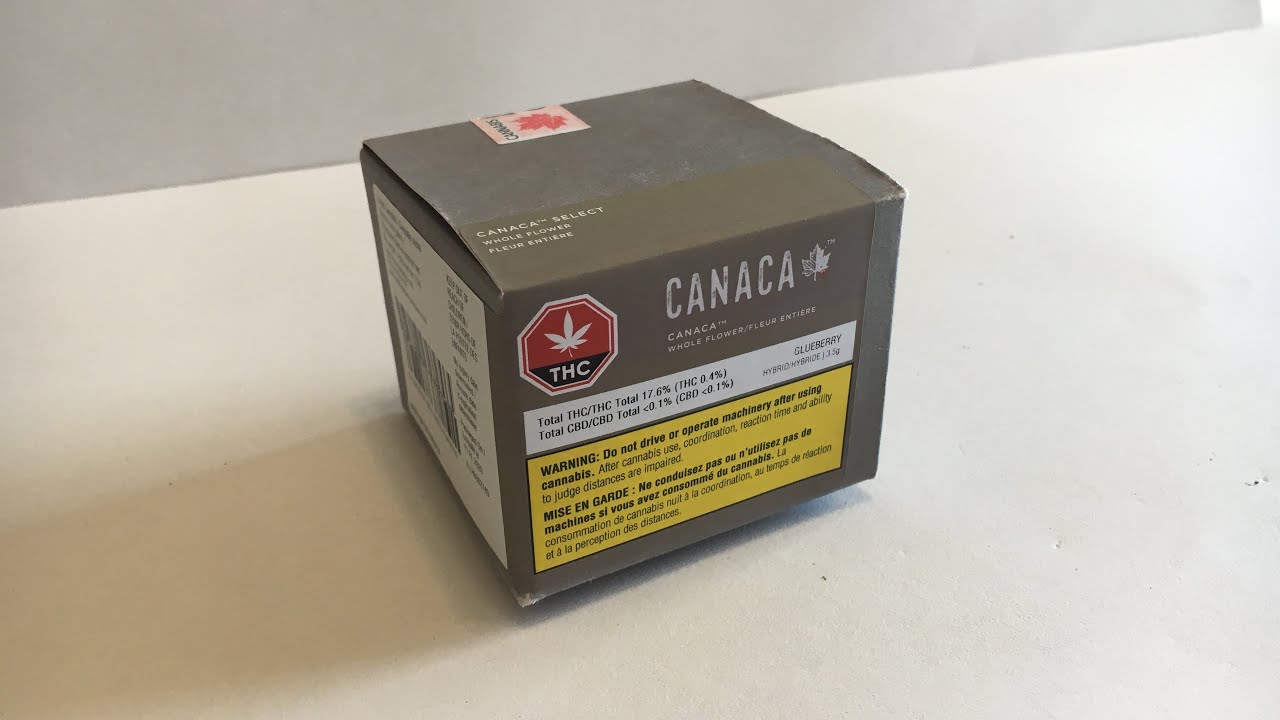 Weed Unboxing- Glueberry by Cannaca