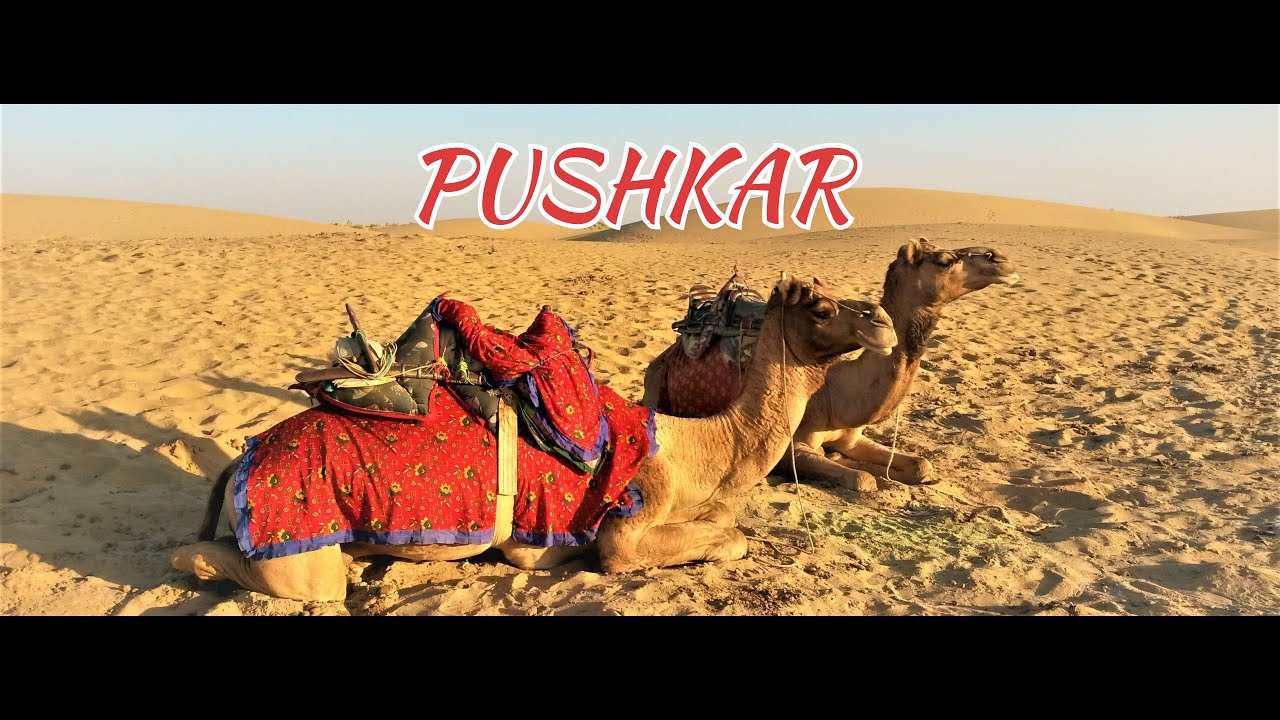 Jaipur to Pushkar Vlog | Hawa Mahal 🏰 Bapu Bazar 🛍️ Brahma Temple 🙏 Desert Safari 🐪 | Rajasthan Trip