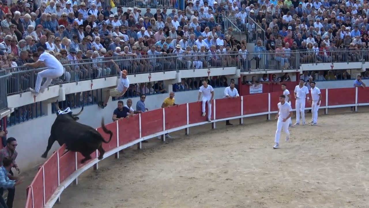 finale du troph&eacute;e de la mer Le 14 09 2025