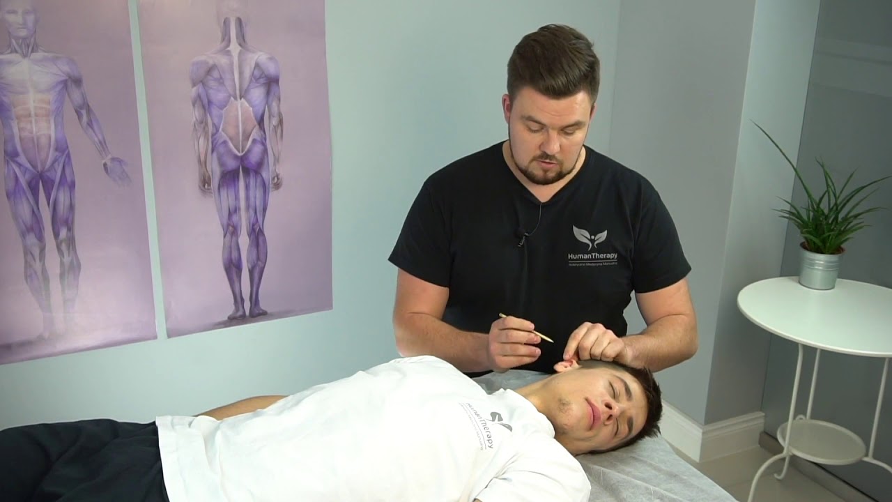 Wprowadzenie do anatomii ucha dla Aurikuloterapeutów | Kurs: Aurikuloterapia - Holiapp.me
