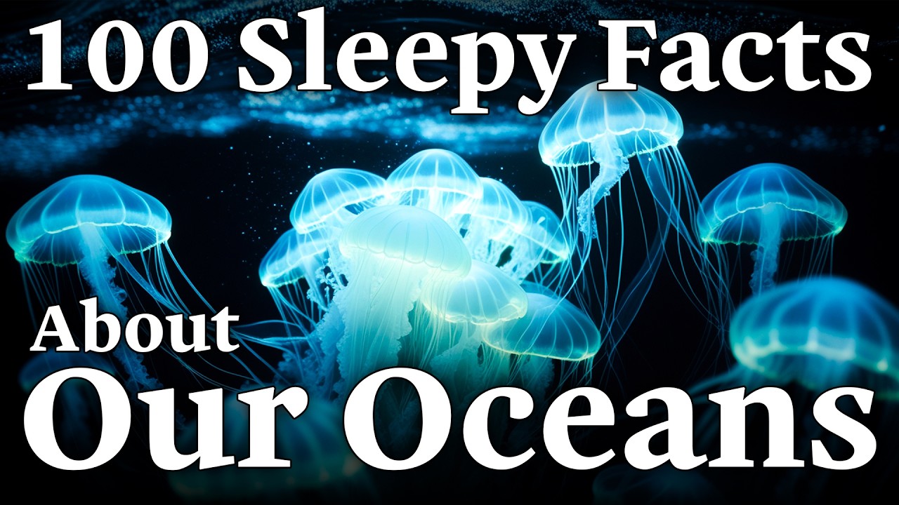 100 Relaxing Ocean Facts to Fall Asleep To Sleepy Scientist