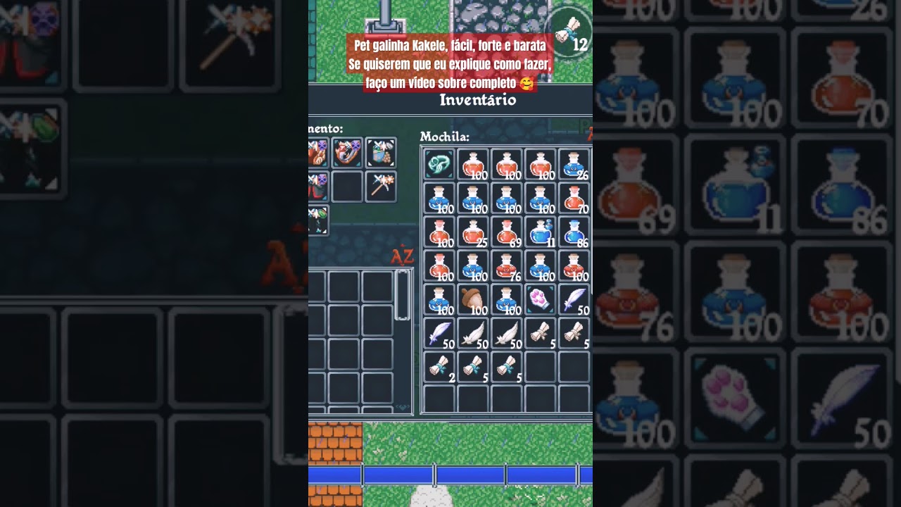 Pet Galinha KAKELE 
