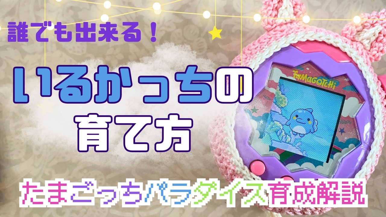 【解説動画】いるかっちの育て方🐬🏝✨たまごっちパラダイス