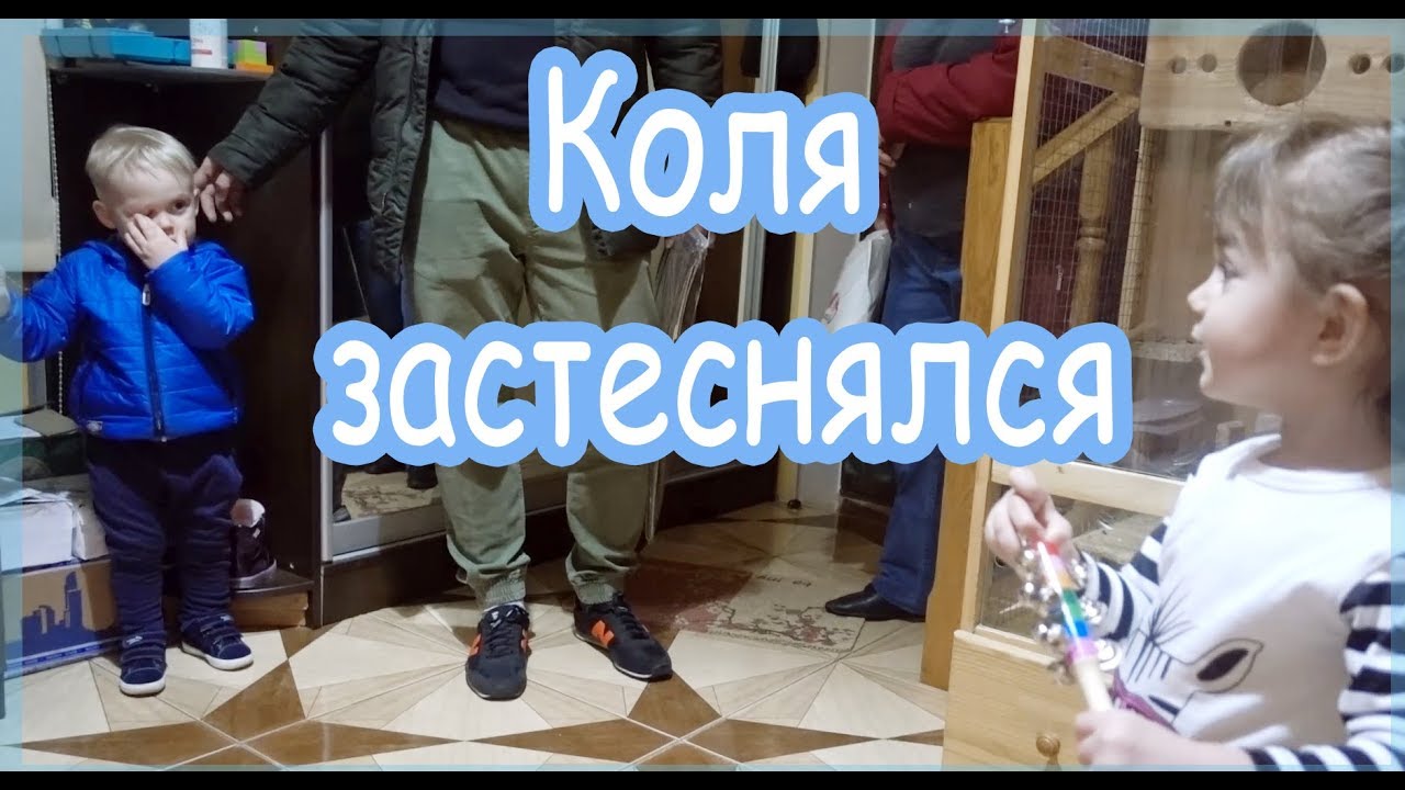 VLOG Как Коля и Алиса встретились
