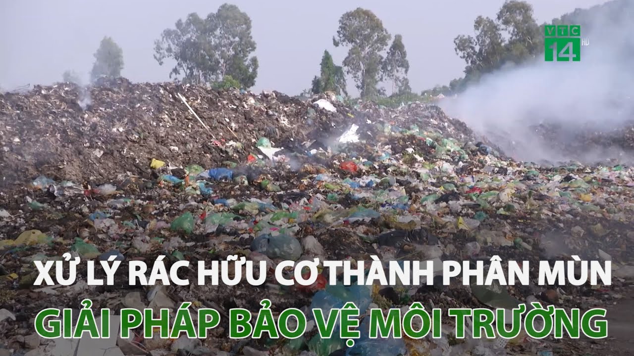 Xử lý rác hữu cơ thành phân mùn: Giải pháp bảo vệ môi trường | VTC14