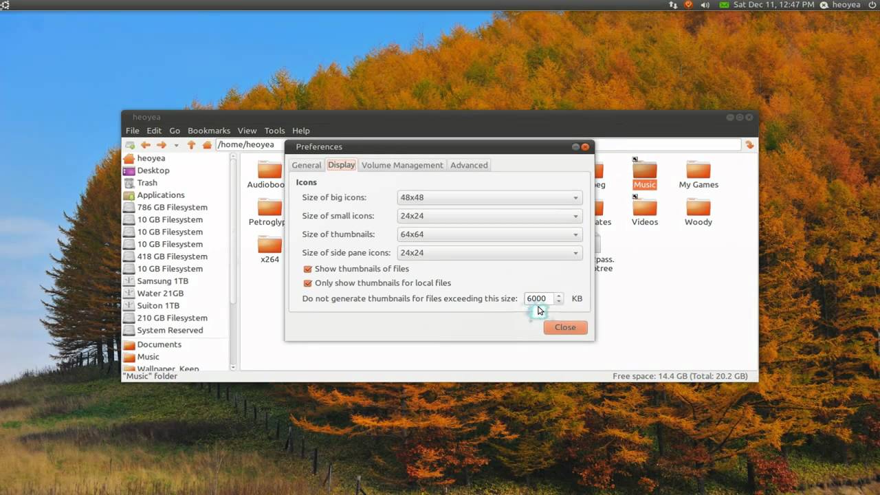 PCManFM File Manager - Ubuntu 10.10