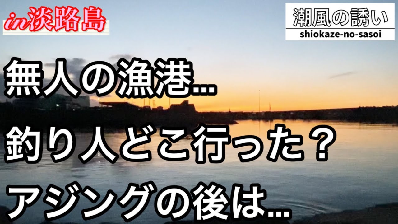 【淡路島】逆に怖い！釣り人が消えた漁港で狙う根魚【ガシラ】