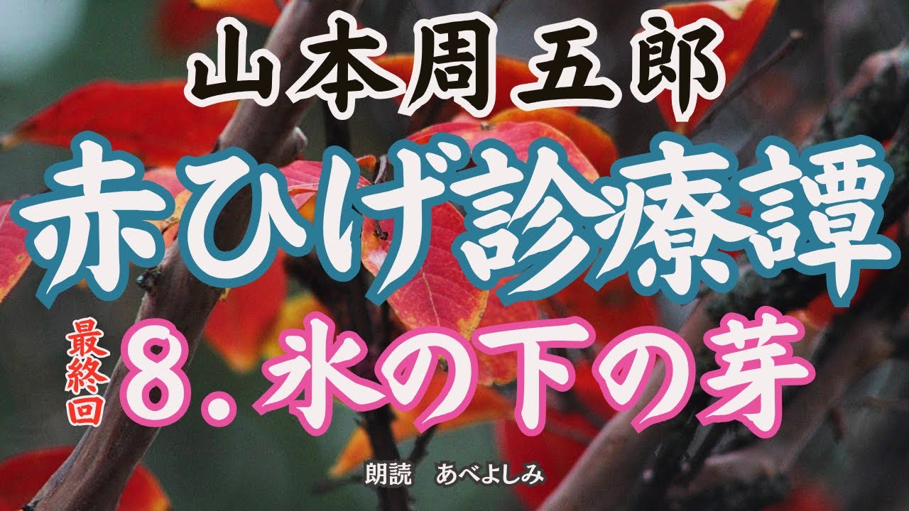 【朗読】山本周五郎「赤ひげ診療譚」⑧氷の下の芽」    朗読・あべよしみ