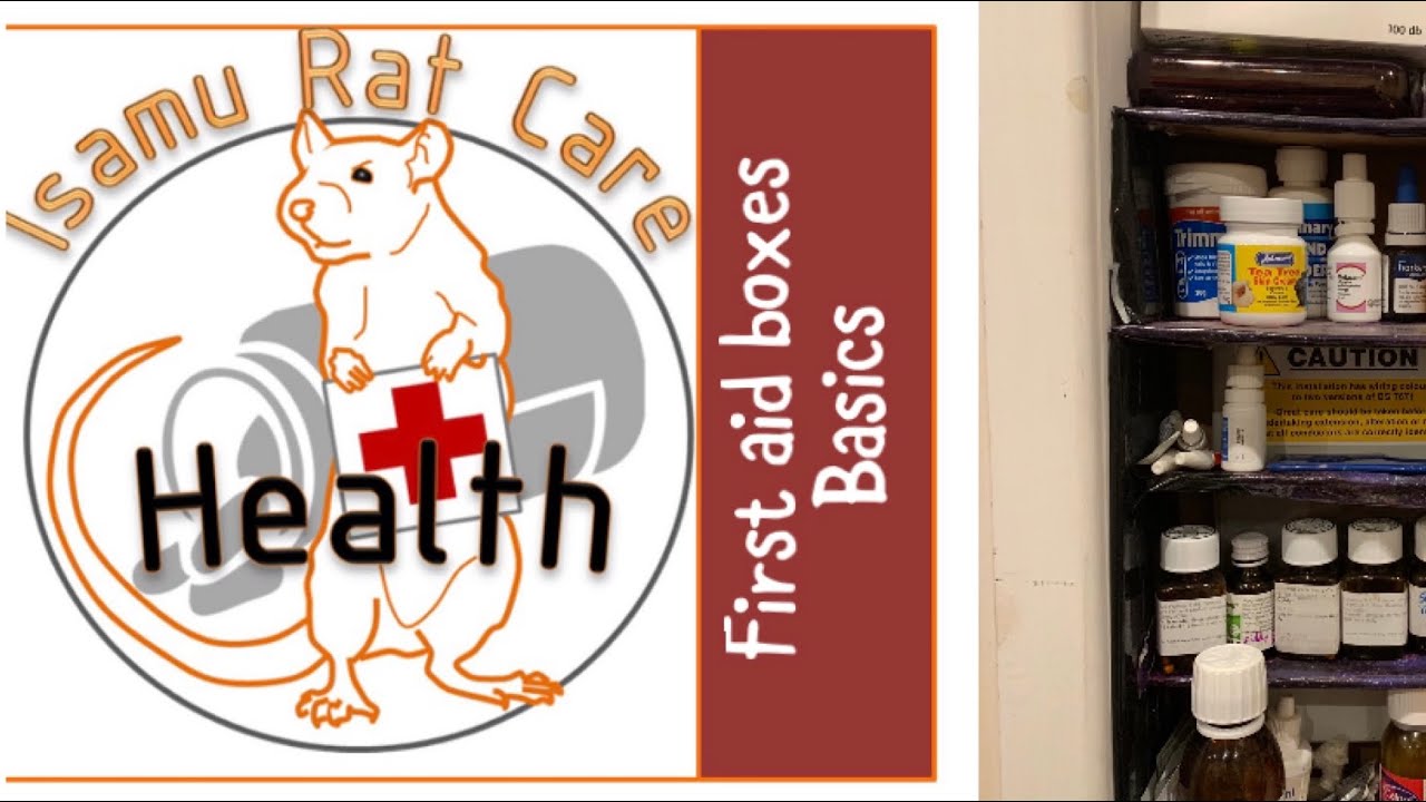 First aid box: basics