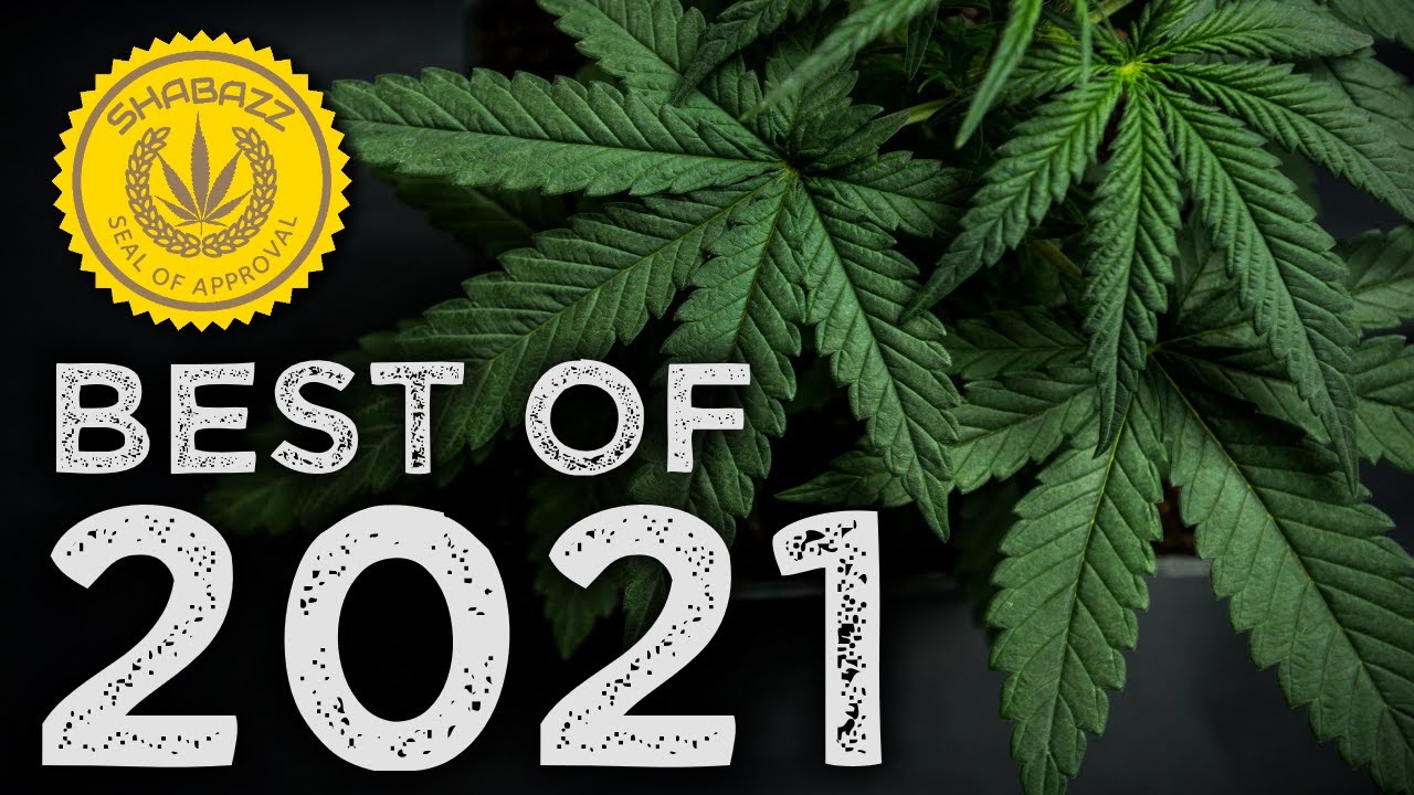 Best Hemp Strains and Vendors of 2021! | CBD Hemp Flower Review