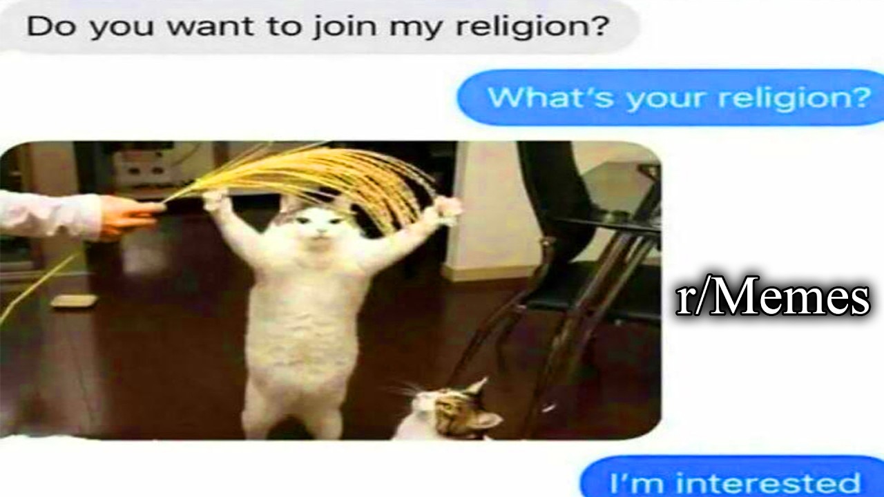 reddit's finest memes