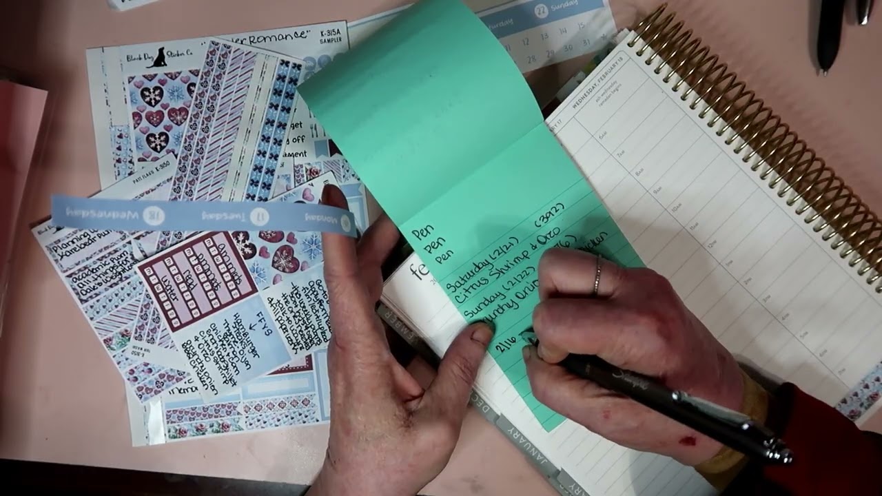 February 16-22 Hourly Plan With Me - Black Dog Sticker Co. K-315 
