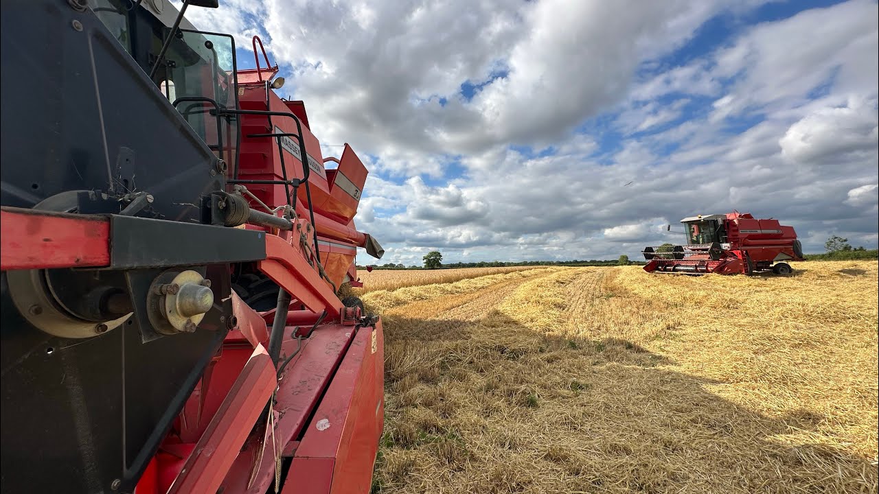 Malting Barley harvest amazing drone footage (now we’re farming)