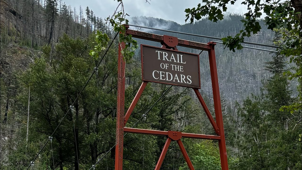 Trail of the Cedars- Newhalem, Washington State