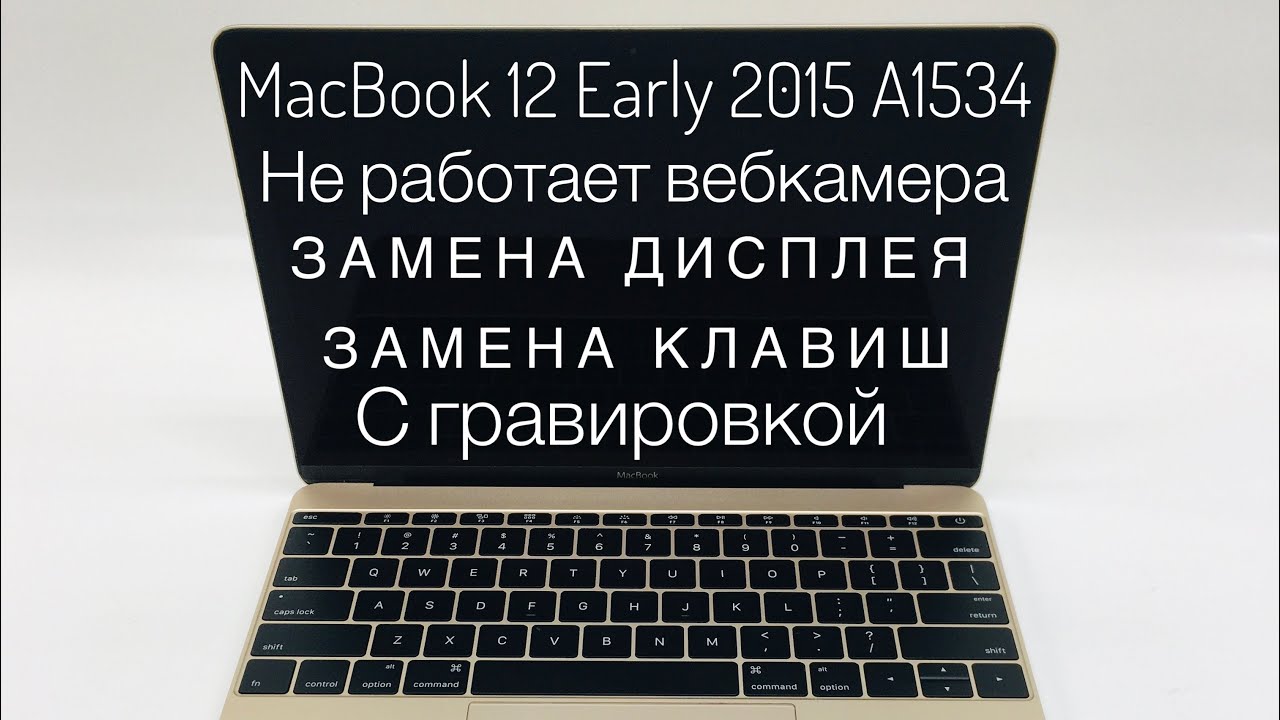 Не работает Камера MacBook 12 Early 2015 A1534