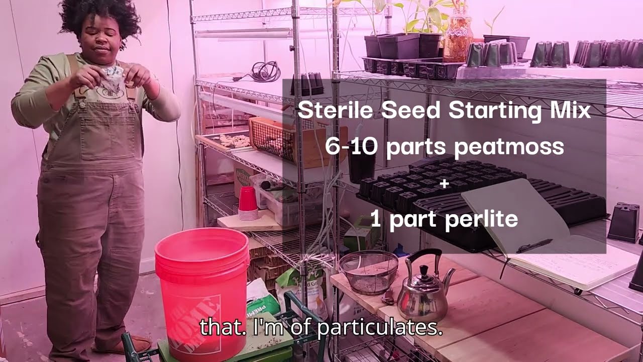 Natty's sterile seed starting mix || Peat moss vs coco coir