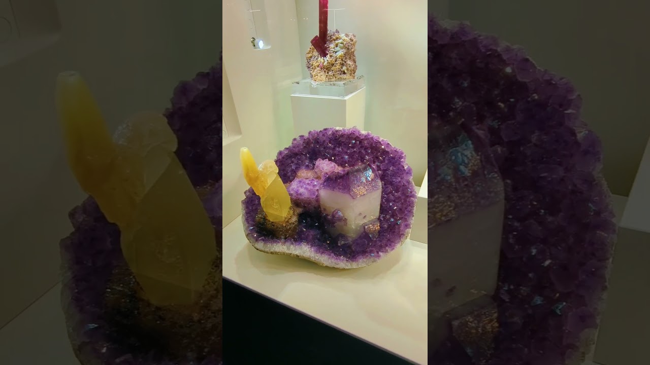 Munich Gem Show 2025: A Treasure Trove of Crystals, Minerals & Fossils! #gemshow #crystals #minerals