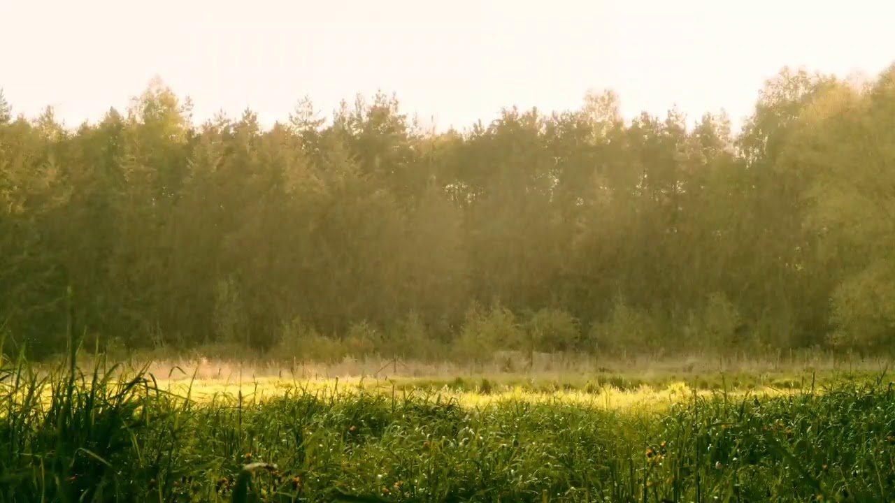 Rain shower in farm inspiration music