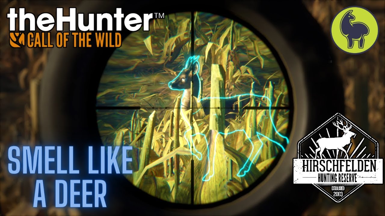 Sommer- Smell Like a Deer, Hirschfelden | theHunter: Call of the Wild (PS5 4K)