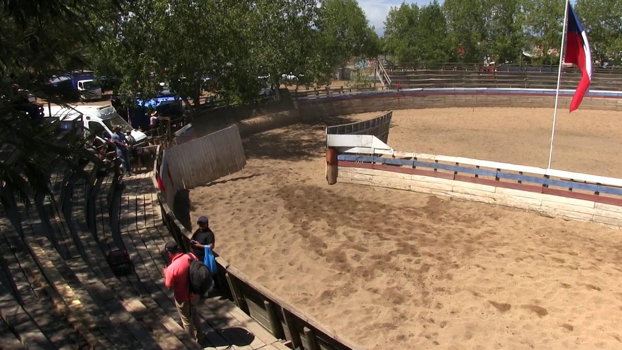 Rodeo Provincial Especial - Club Manantiales De Parral - Segunda Serie Libre   14 /02/2026