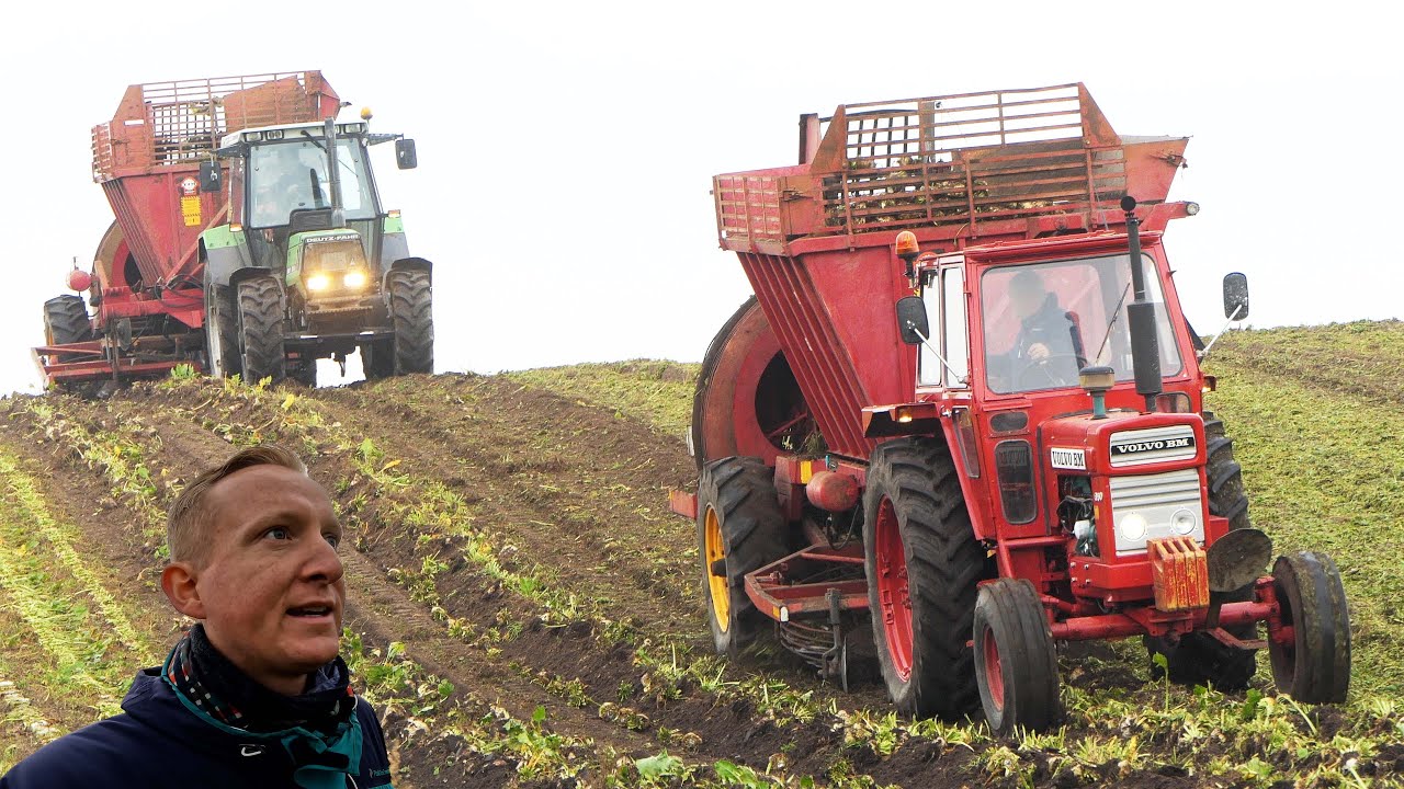 Veteran Roedag 2024 | Mange fine maskiner i marken for at tage roer op