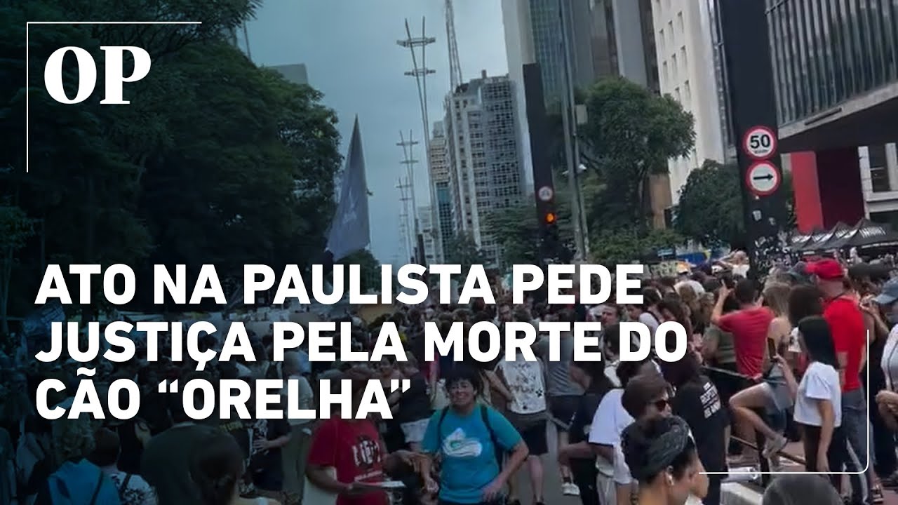 Manifestantes ocupam a Avenida Paulista e pedem justiça pela morte do cão “Orelha”; veja vídeos 