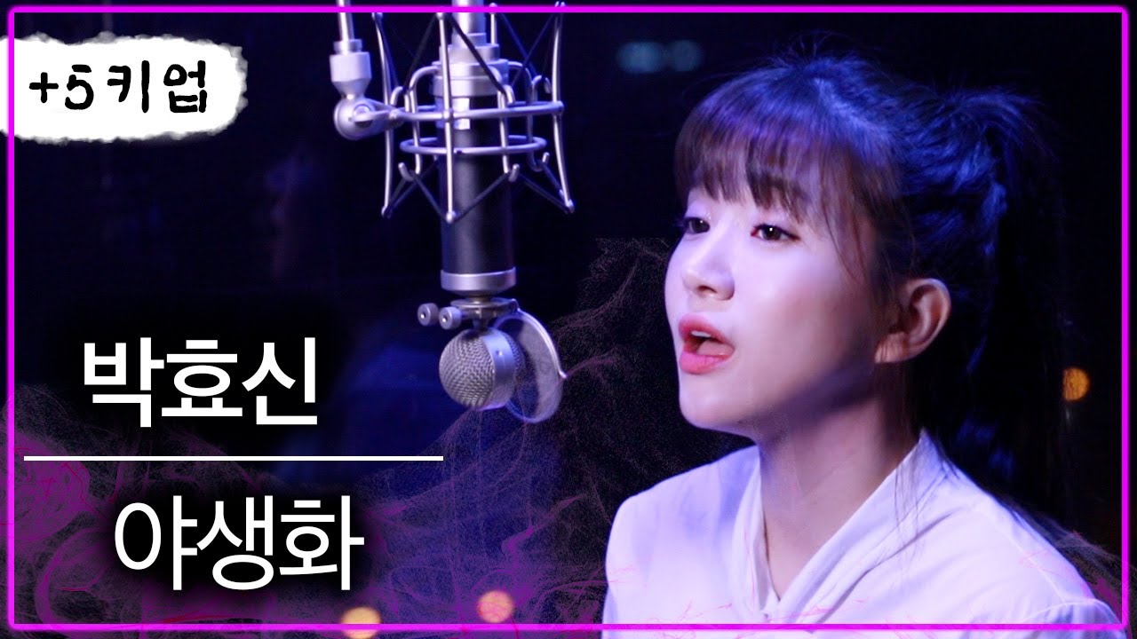 (+5키업) 성대걸고 한호흡으로 했어요 😱 야생화 커버 - 박효신  | 버블디아