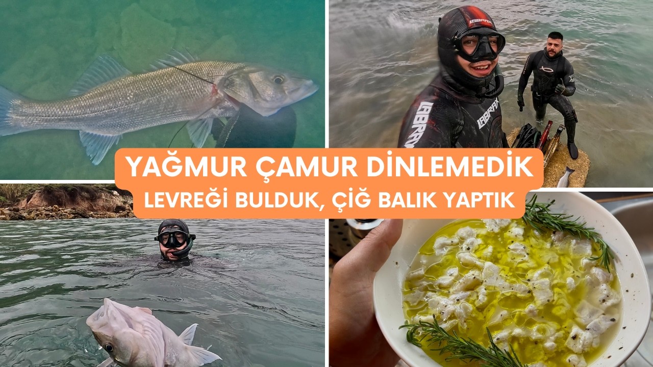 YAĞMUR ÇAMUR DİNLEMEDEN DALIŞA GİTTİK, LEVREĞİ YİNE BULDUK (ÇİĞ BALIK TARİFİ)