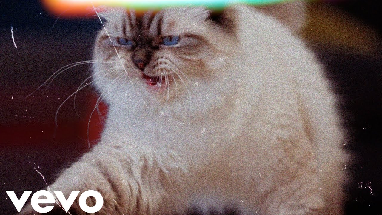 Rits - 跳舞的貓 (official visualizer) 