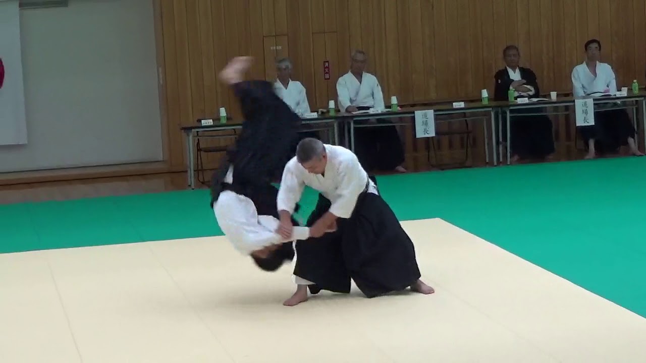 2017 大阪合気会演武大会 本部指導部 廣見剛