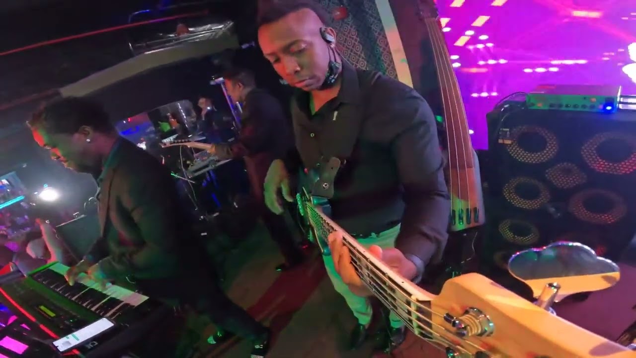 Tabou Combo  Alex  Bass  Guitar View