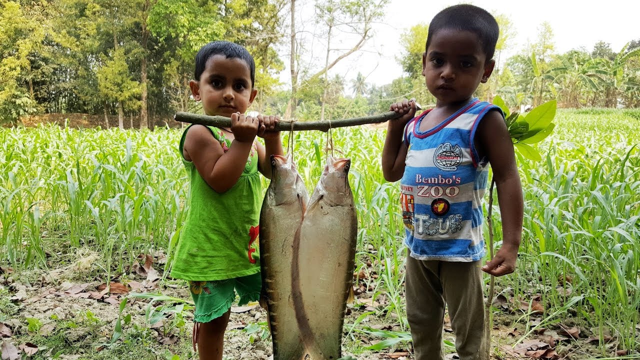 Clown Knifefish Cooking By 3 Years Kids - Cute Baby Sneyha's Cooking Show - Tasty Knifefish Curry