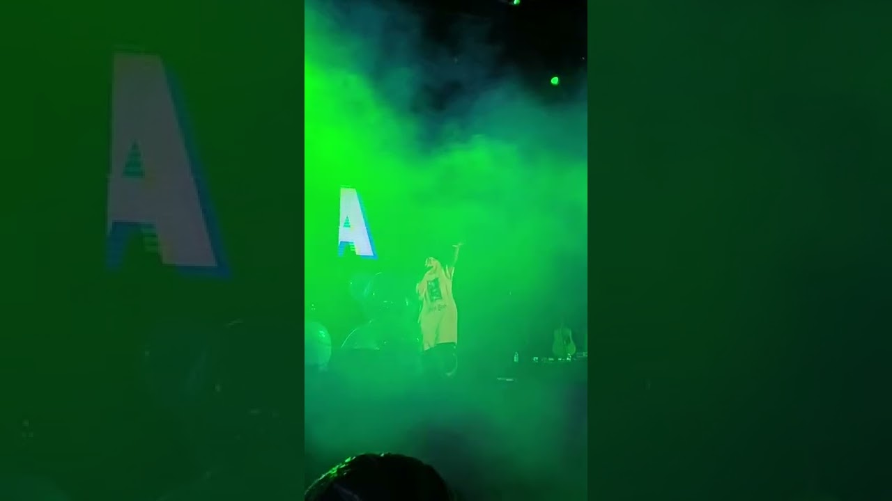 Anne-Marie(앤 마리) 