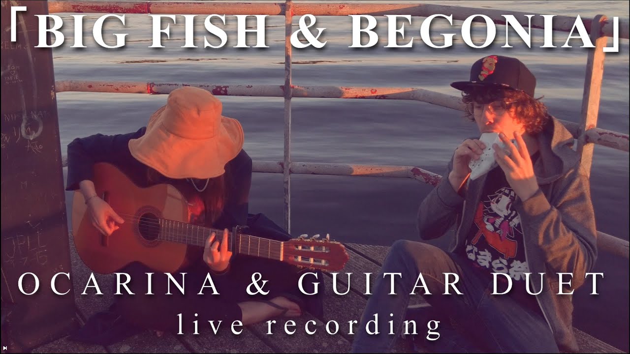 ｢Big Fish & Begonia Theme｣ Ocarina & Guitar Duet