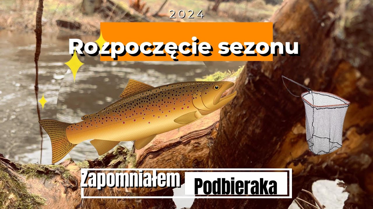 Rozpoczęcie Sezonu Pstrągowego 2024  | Pstrągi 2024 | wędkarstwo spinningowe