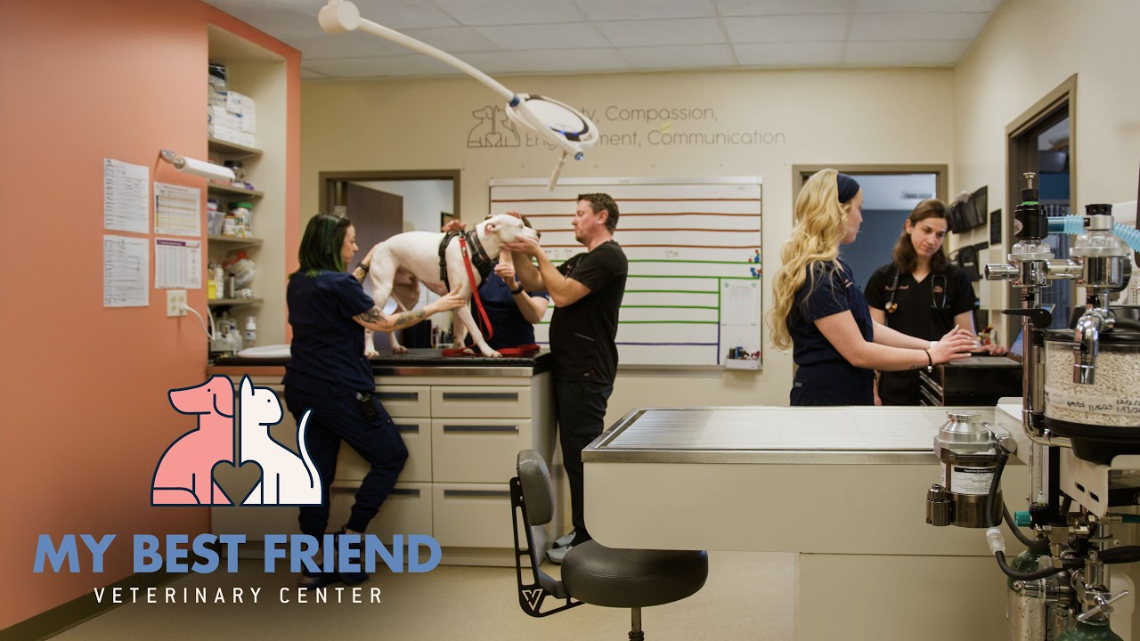 Welcome to My Best Friend Veterinary Center | St. Louis, MO