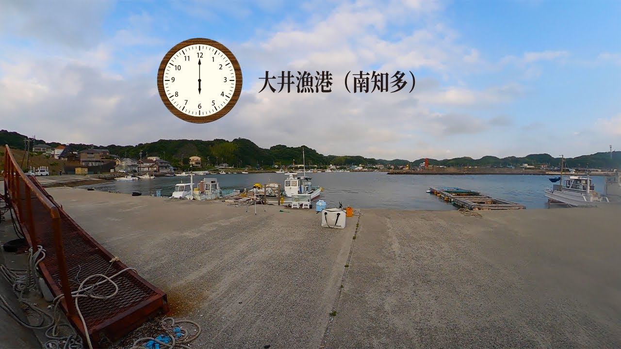 ［シロメトリック］シロメとママカリ４号でアジ50匹。今朝の釣果