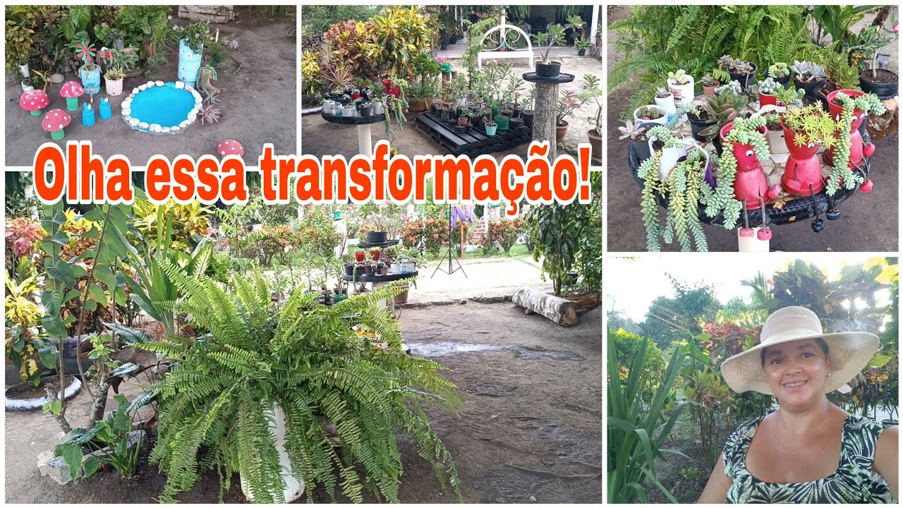 Rotina de mãe de plantas/lavei e pitei o laguinho/fiz bolo de laranja/limpeza pesada no jardim