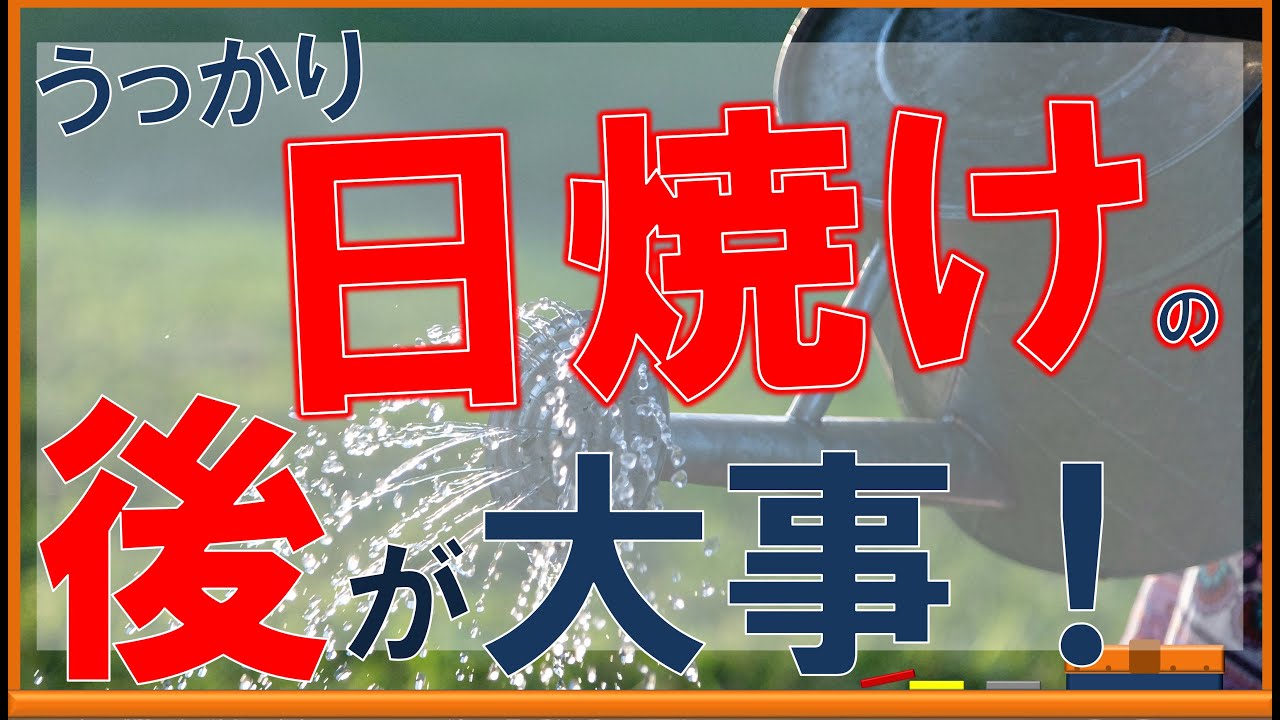 日焼けした肌を救え！医学的根拠に基づく効果的なスキンケア方法とは？【内科医が解説】